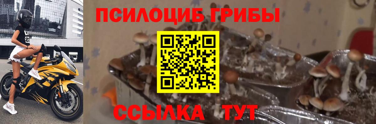 Вейп ТГК Курчатов